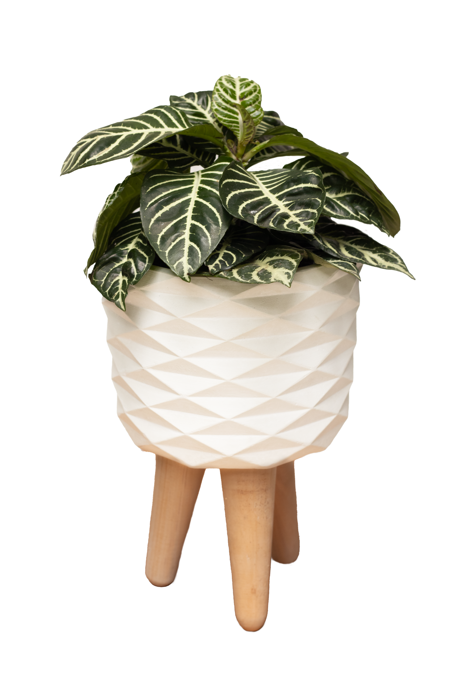 RUBY BIG SOPORTE APELANDRA