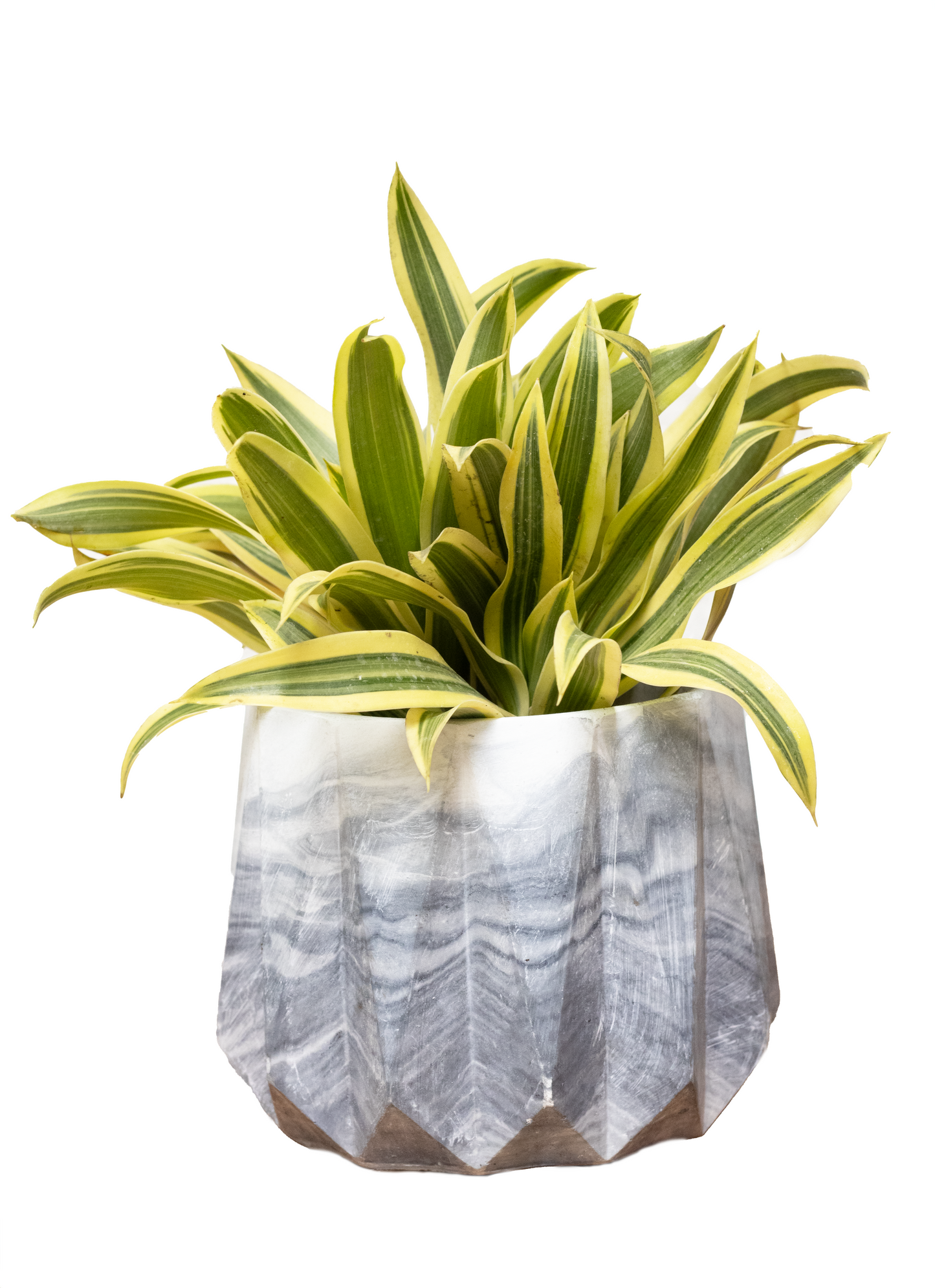 MATERA DIAMANTE CANCION