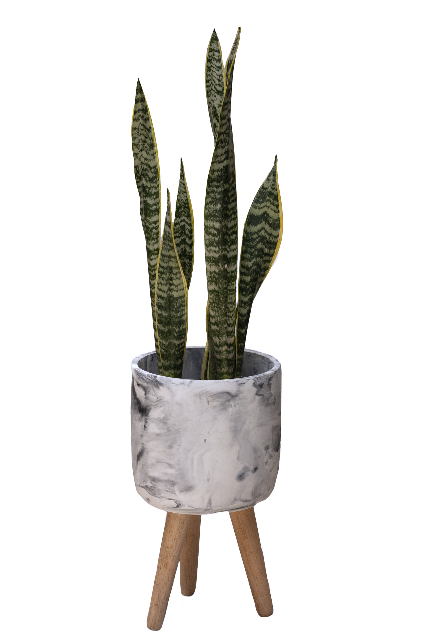 TOPACIO XL SOPORTE SANSEVIERA