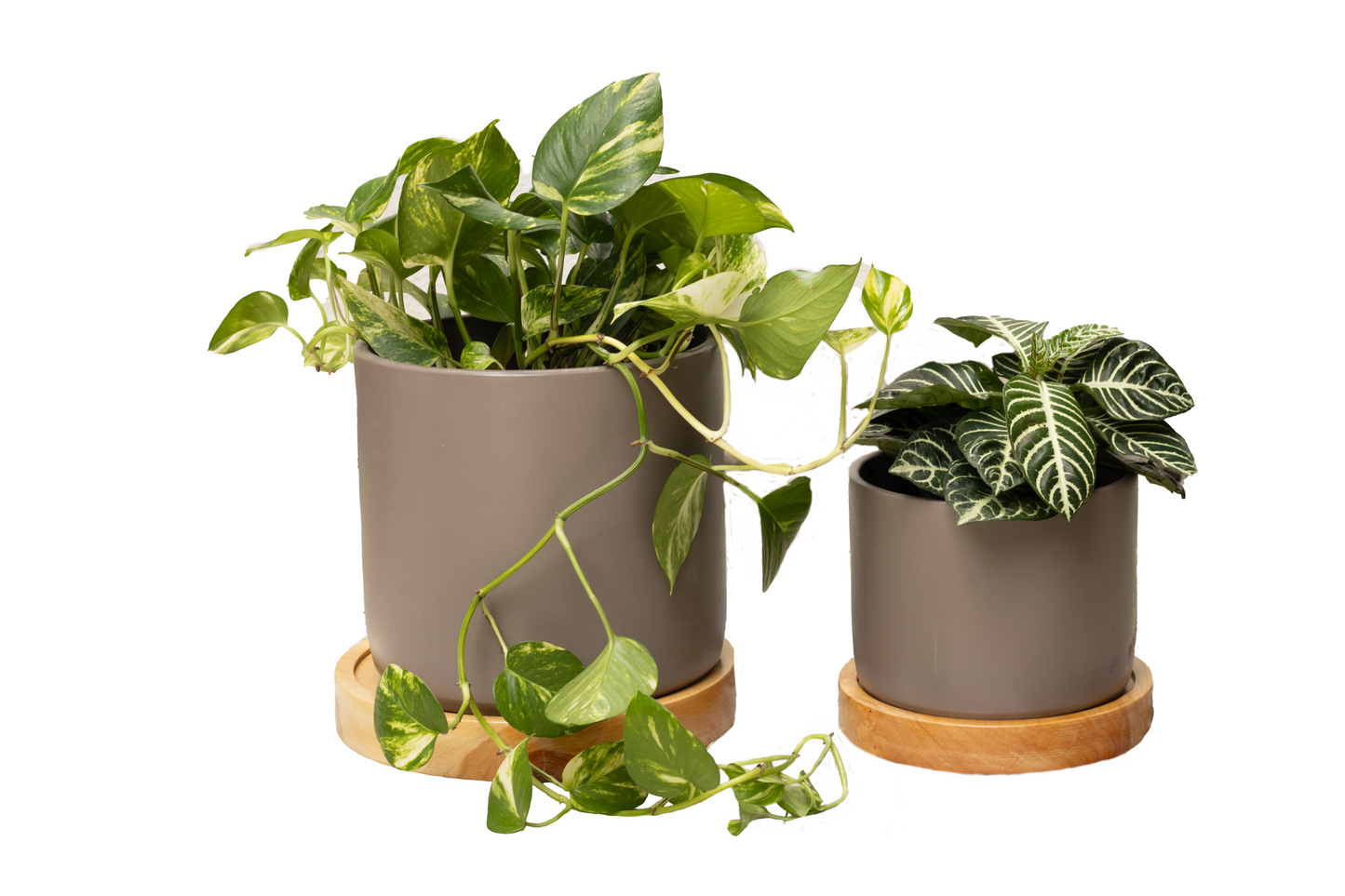 DUO Y BASE XL Y L MATERA TOPACIO XL Y TOPACIO BIG