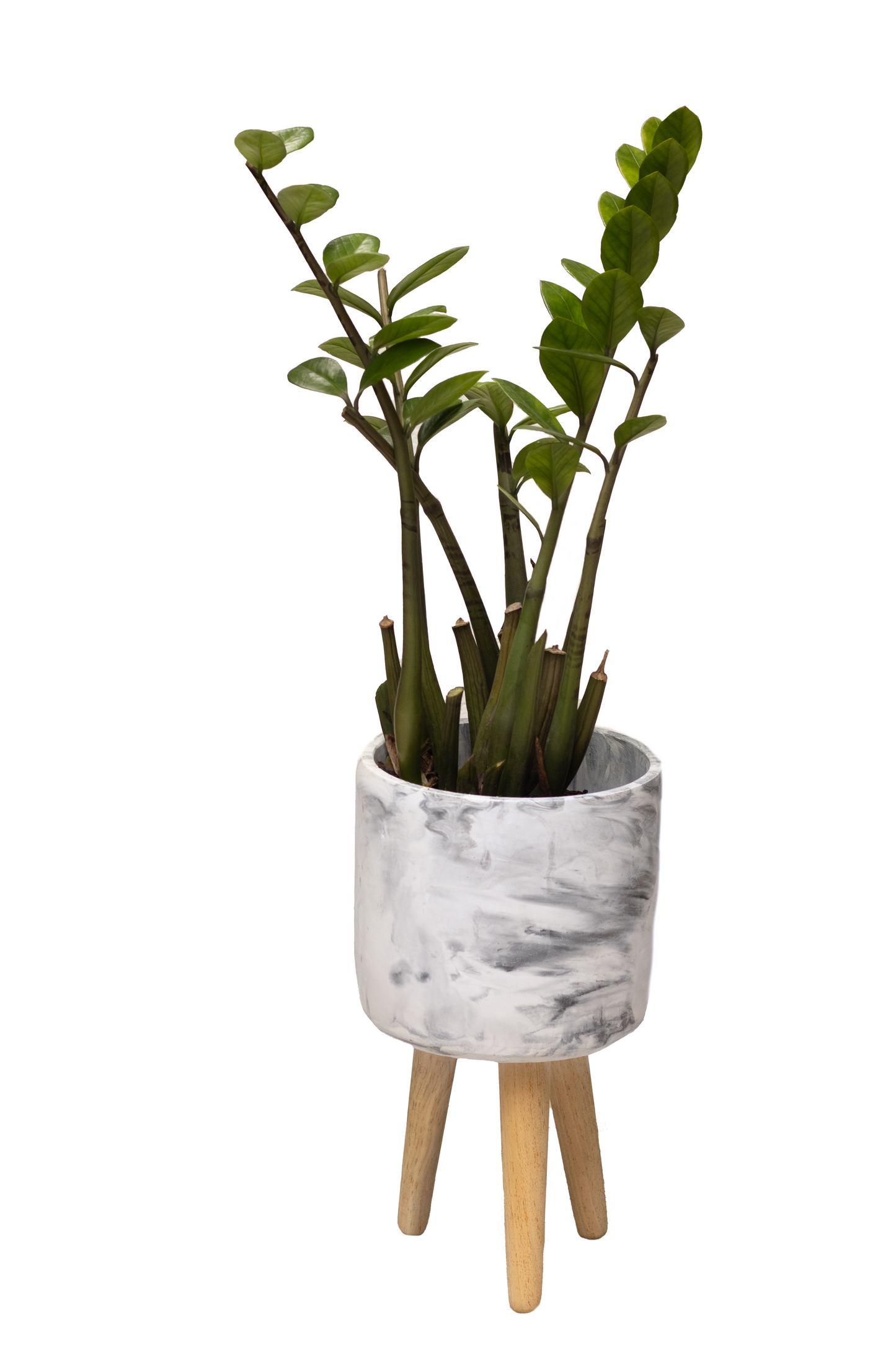 TOPACIO XL SOPORTE PALMA ZZ